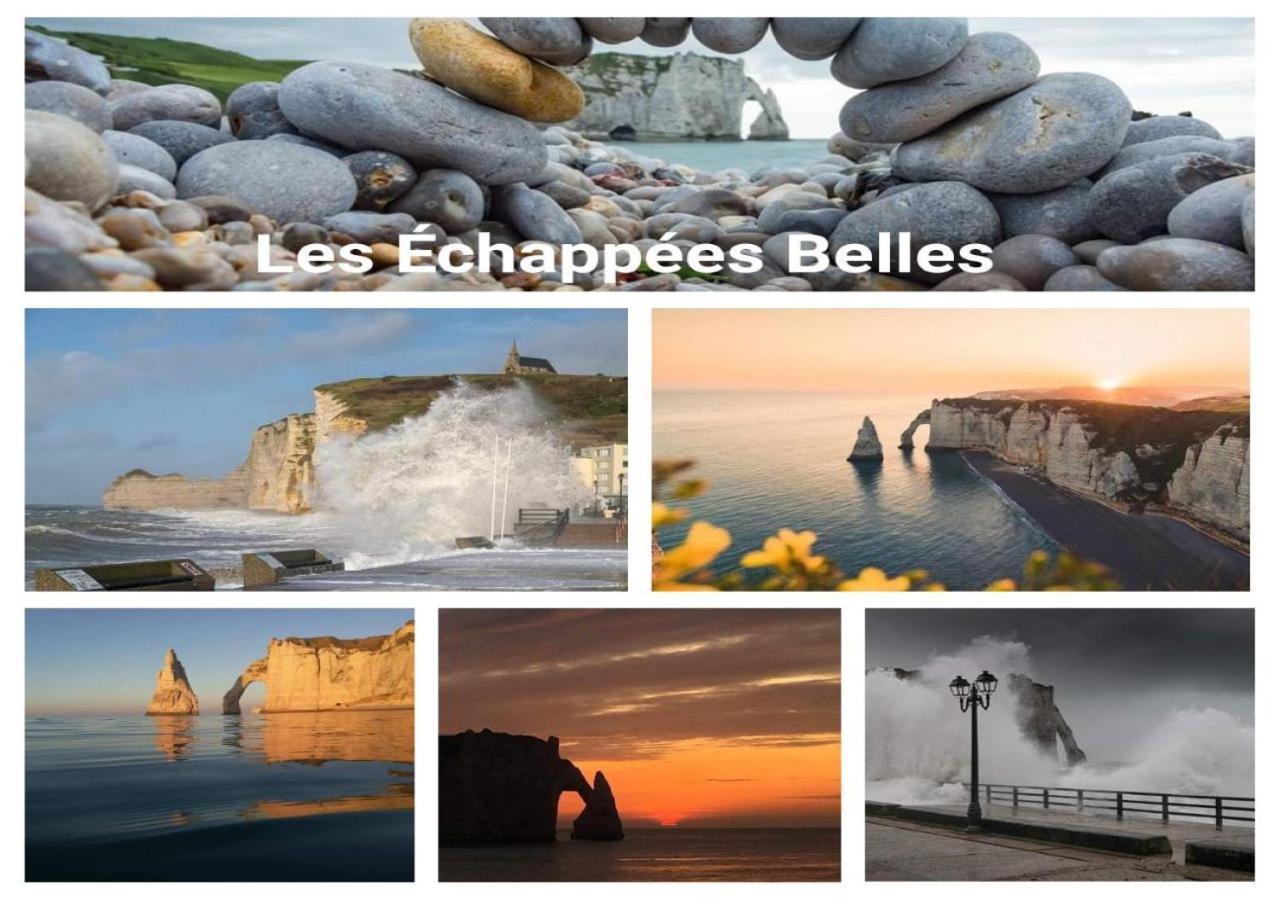 Les Echapees Belles Apartment Etretat Luaran gambar